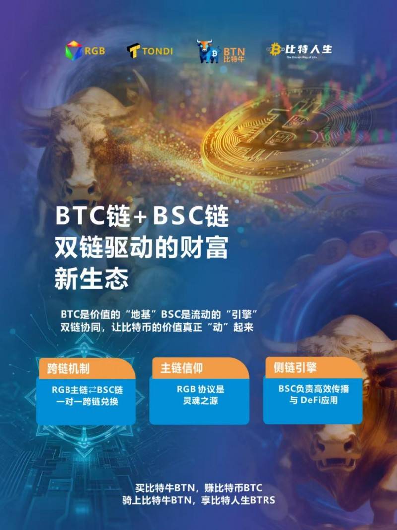 BSC计划比特币(bch真正的比特币)